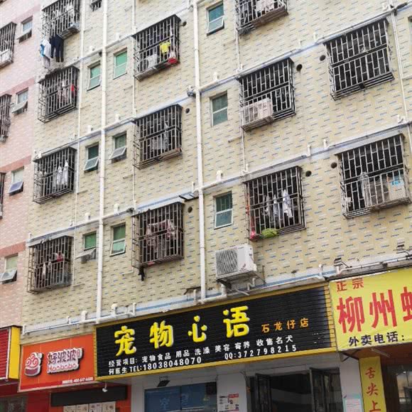 宠物心语(石龙仔店):深圳市宝安区石岩附近