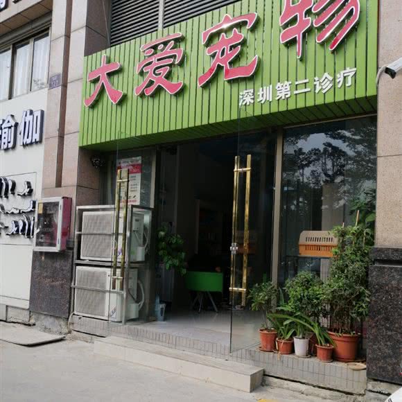 大爱宠物:深圳市宝安区松岗附近