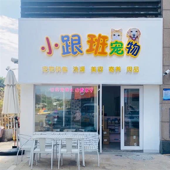 小跟班宠物(领航分店):深圳市宝安区固戍桃源居附近
