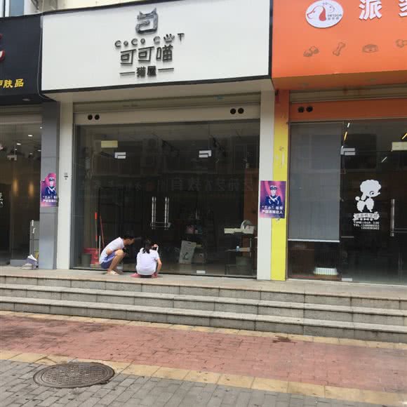 可可喵猫屋:深圳市宝安区固戍桃源居附近