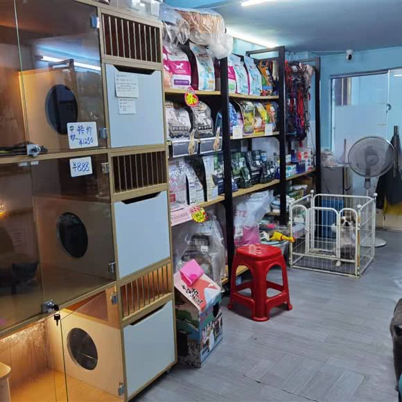 新宠宠物:深圳市宝安区固戍附近