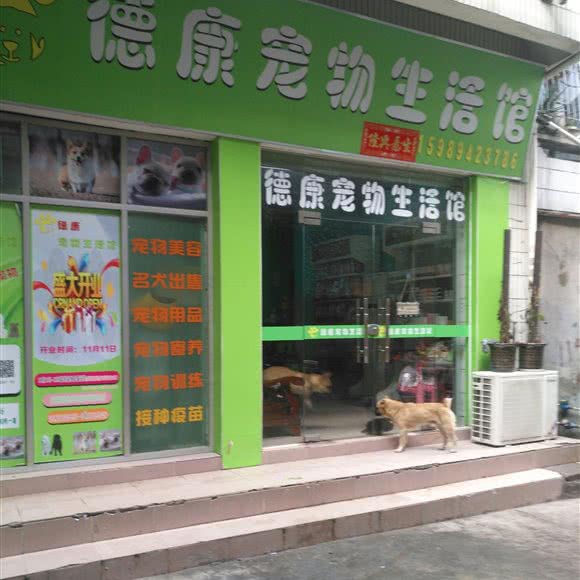 德康宠物生活馆:深圳市宝安区固戍附近