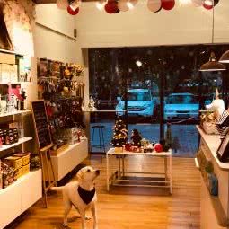 犬色宠物店:深圳市龙岗区龙岗中心城区附近