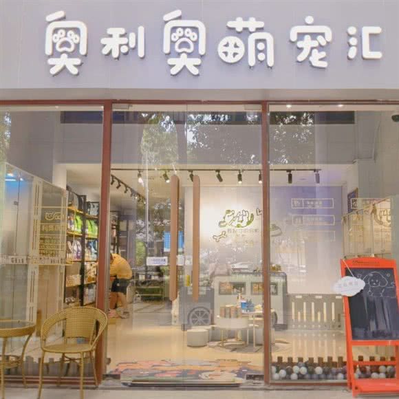 奥利奥萌宠汇:深圳市龙岗区龙岗中心城区附近