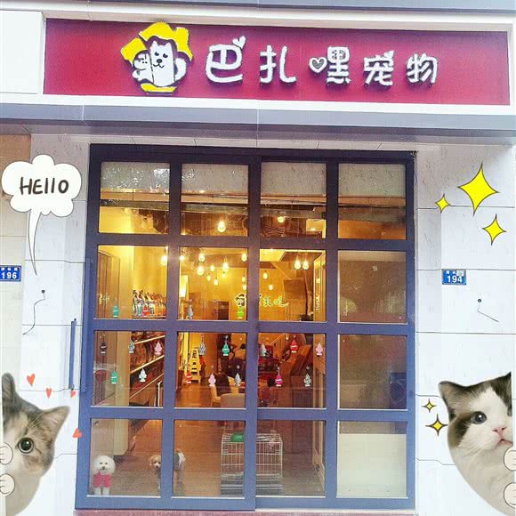 巴扎嘿宠物:深圳市龙岗区龙岗中心城区附近