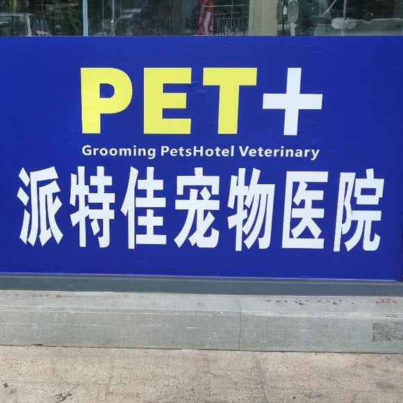 派特佳宠物医院(缤纷世纪公寓店):深圳市龙岗区龙岗中心城区附近