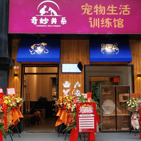 奇妙关系宠物生活训练馆:深圳市龙岗区坂田/杨美附近