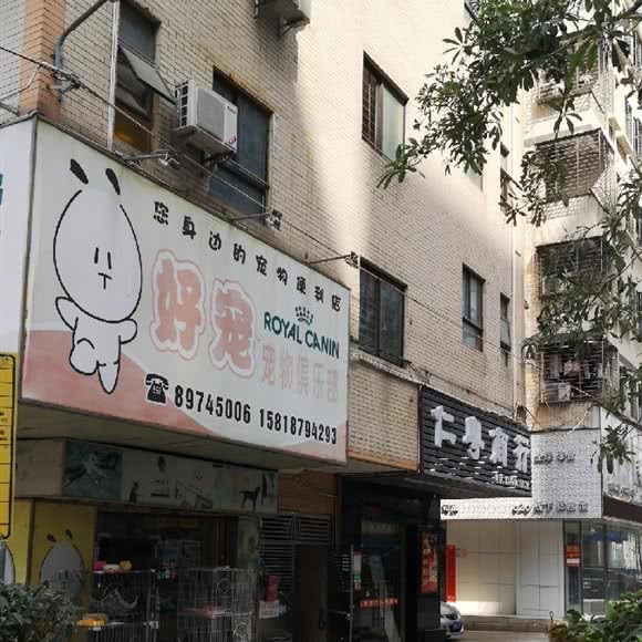 好宠宠物俱乐部:深圳市龙岗区坂田/杨美附近