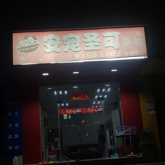 安宠圣可宠物:深圳市龙岗区坂田/杨美附近