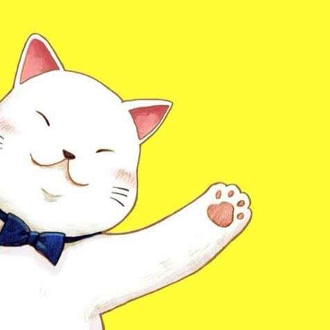 树街の猫:深圳市龙岗区坂田/杨美附近