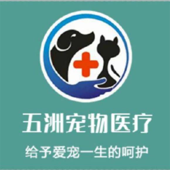 伍洲宠物医院:深圳市龙岗区坂田/杨美附近