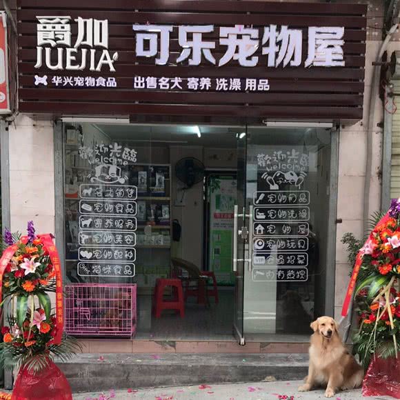 可乐狗狗屋:深圳市龙岗区布吉街/东站附近