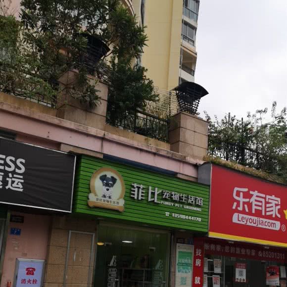 菲比宠物生活馆:深圳市龙岗区布吉街/东站附近