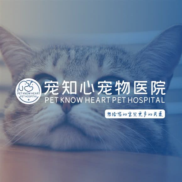 宠知心宠物医院(汇嘉分院):深圳市龙岗区布吉街/东站附近