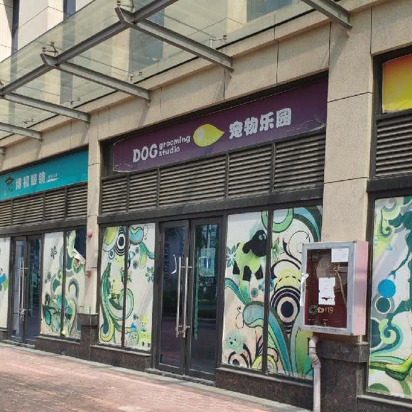 宠物乐园:深圳市龙岗区坪山附近
