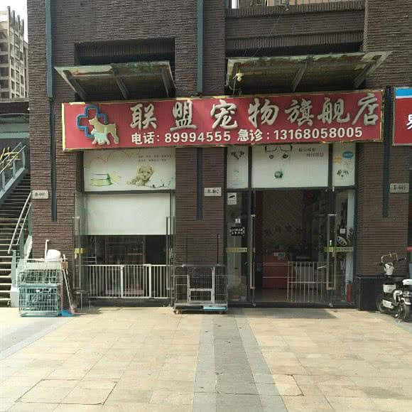 联盟宠物诊所:深圳市龙岗区坪山附近