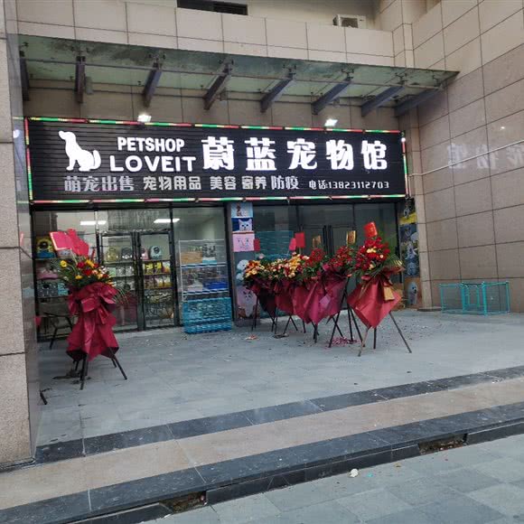 蔚蓝宠物馆:深圳市龙岗区双龙/南联附近