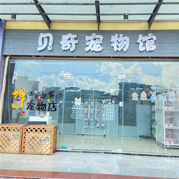 贝奇宠物馆:深圳市龙岗区横岗附近