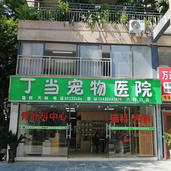 丁当宠物医院:深圳市龙岗区横岗附近