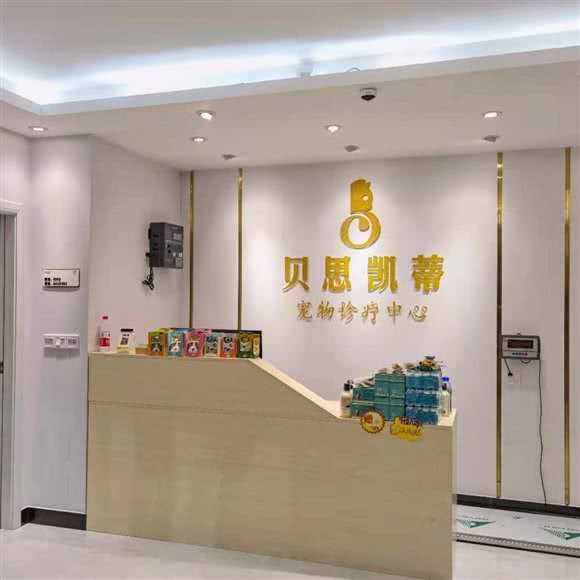 贝思凯蒂宠物诊疗中心:深圳市龙岗区横岗附近
