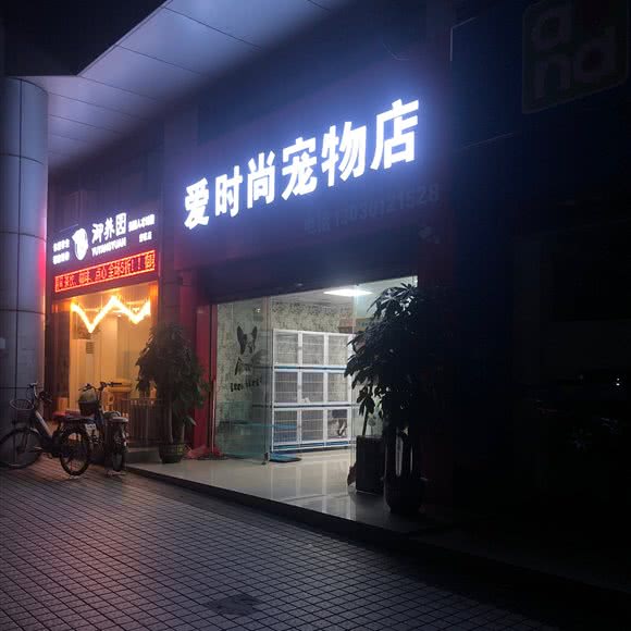 爱时尚宠物店:深圳市龙岗区大运附近