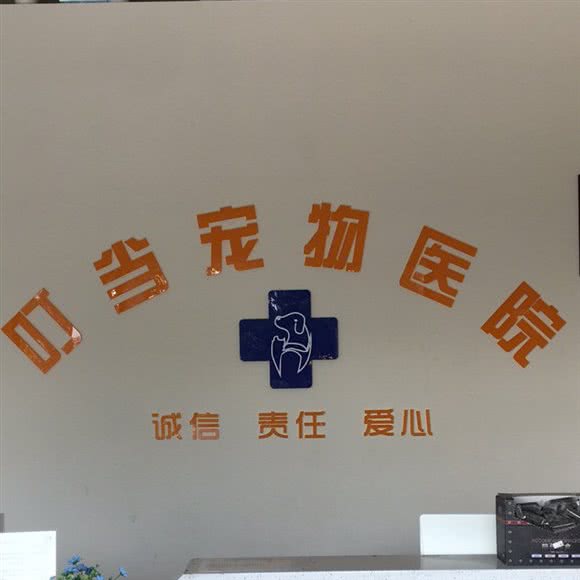 叮当宠物医院:深圳市龙岗区平湖附近