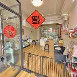 Oof屋福:深圳市龙岗区大芬/南岭附近