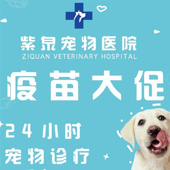 紫泉宠物诊所:天津城区武清区武清区附近