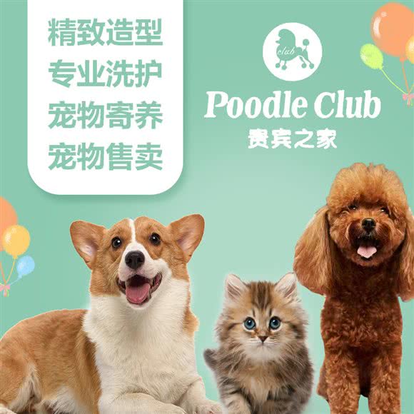 贵宾之家宠物生活馆(民治绿景店):深圳市龙华区民治附近