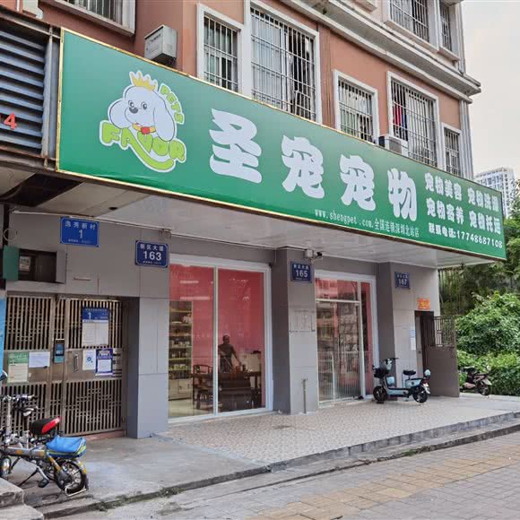 圣宠宠物(新区大道店):深圳市龙华区民治附近