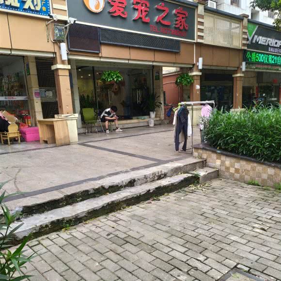 爱宠之家:深圳市龙华区民治附近