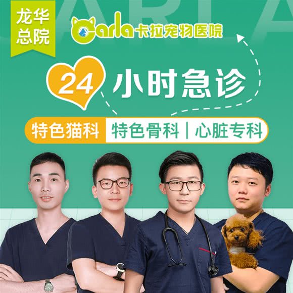 卡拉宠物医院24小时·肾脏专科·微创中心·骨科中心:深圳市龙华区民治附近