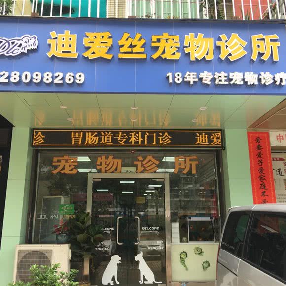 迪爱丝宠物医院:深圳市龙华区民治附近