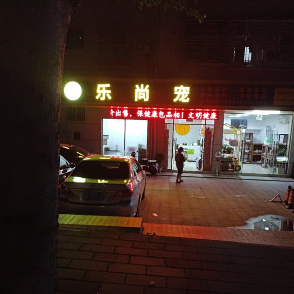 乐尚宠宠物:深圳市龙华区龙华附近