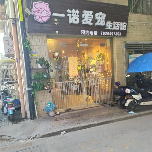 一诺爱宠生活馆:深圳市龙华区龙华附近