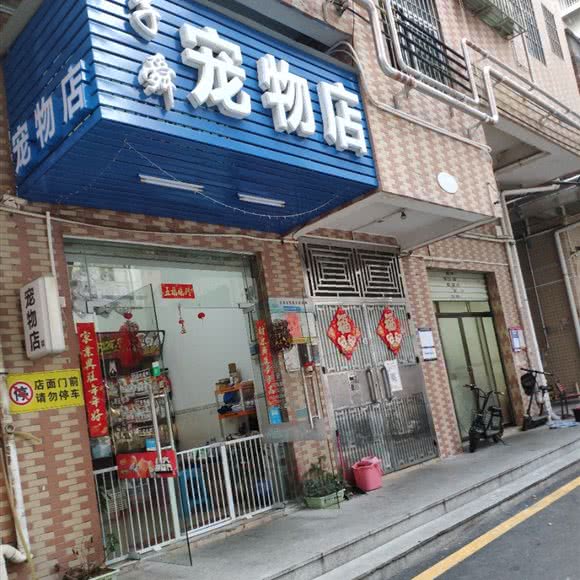 子舜宠物店:深圳市龙华区龙华附近