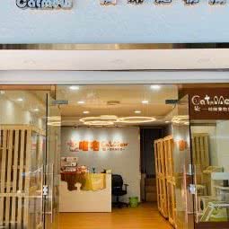 喵宅:深圳市龙华区龙华附近