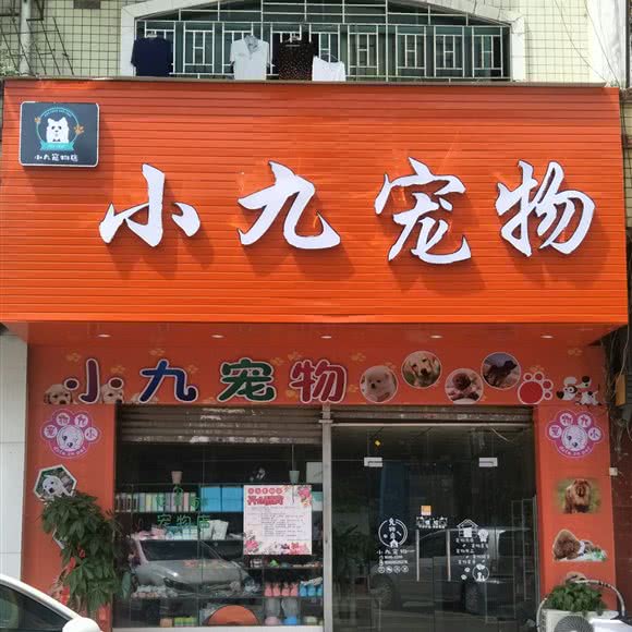 小九宠物:深圳市龙华区龙华附近
