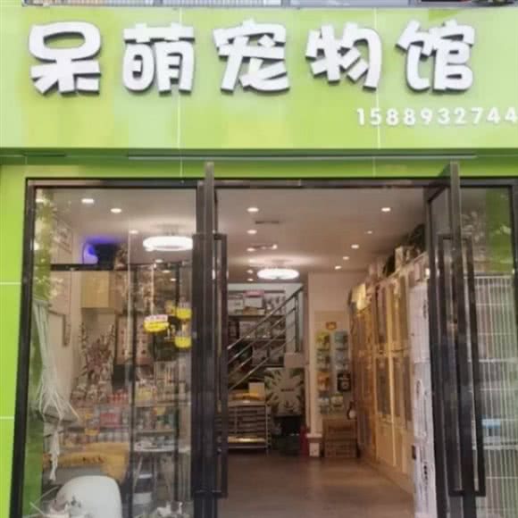 呆萌宠物馆:深圳市龙华区龙华附近