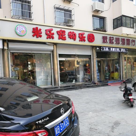 米乐宠物主题乐园:天津城区宝坻区宝坻区附近