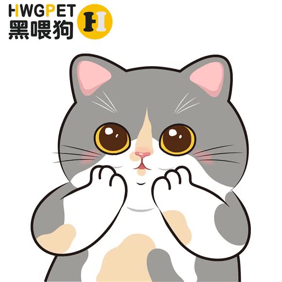 HWGPet(上塘店):深圳市龙华区龙华附近