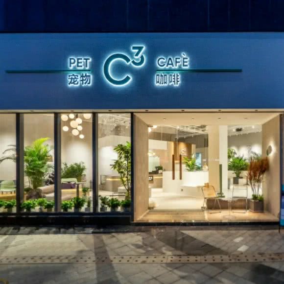 C3宠咖·下午茶·宠物洗护·游泳:深圳市龙华区龙华附近