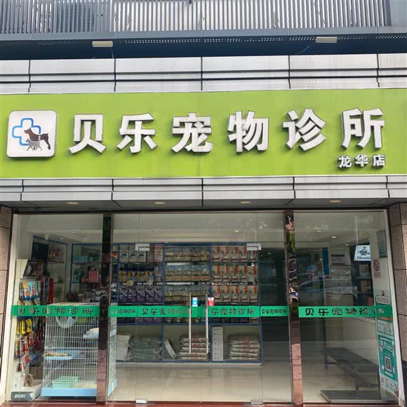 贝乐宠物医院(龙华店):深圳市龙华区龙华附近