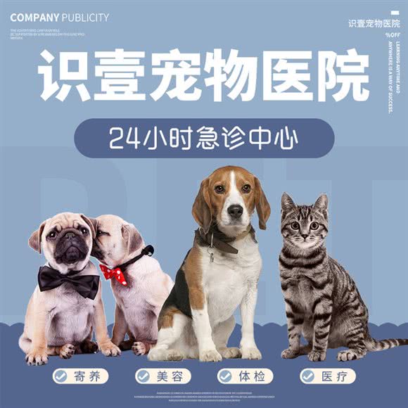 识壹宠物医院:深圳市龙华区龙华附近