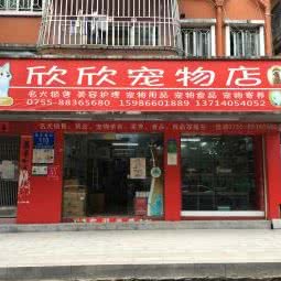 欣欣宠物店:深圳市龙华区梅林关附近