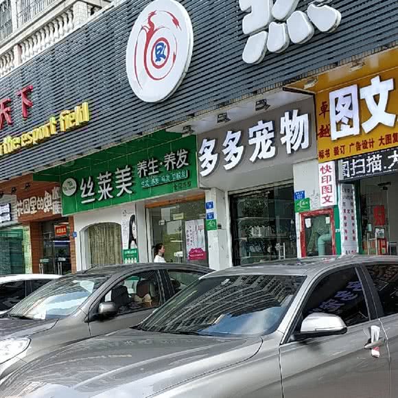 多多宠物:深圳市龙华区梅林关附近