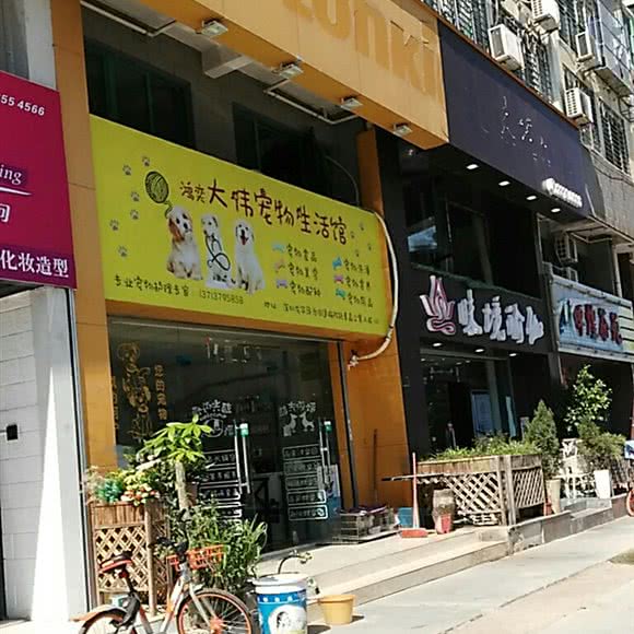 哈趣宠物:深圳市龙华区梅林关附近