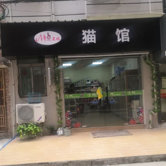 星球猫馆:深圳市龙华区梅林关附近