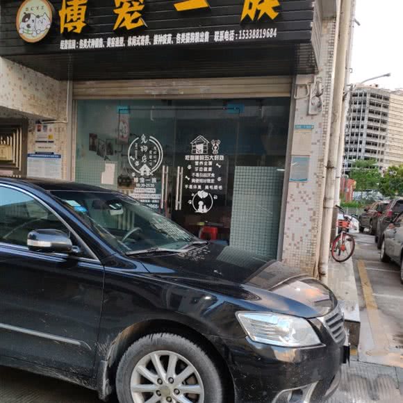 博宠一族:深圳市龙华区大浪附近