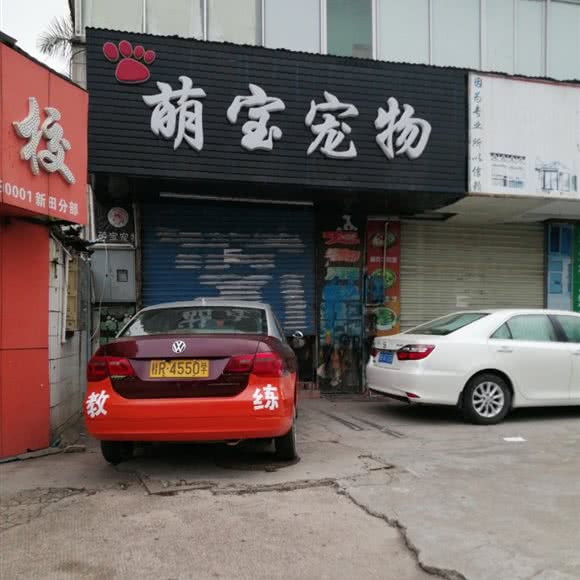 萌宝宠物:深圳市龙华区观澜附近